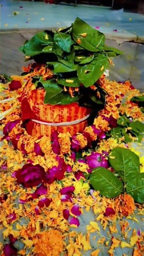 shivbholemahakal#mahadev#song #cartoon #love #mahakalstatus #mahadevstatus#omnamahshivay#mahaka