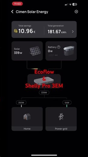 PowerStream 800W & Pro 3EM #ecoflow #temizenerji #solarenergy #shelly #solarsystem #balkonkraftwerk