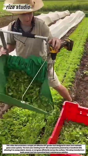 Simple DIY Garden Tool That Saves Time: Smart Lawn Cleaning Hack 🌿