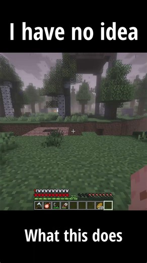 I dont know what this is.....