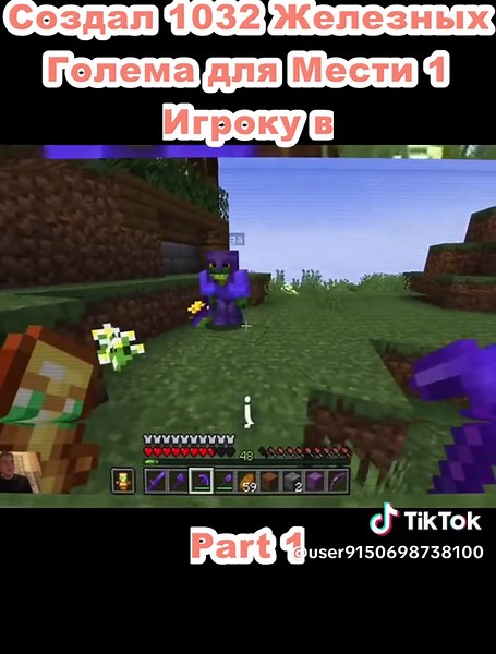 Создал 1032 Железных Голема для Мести 1 Игроку в (1)