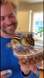 161K views · 1K reactions | Chipmunk's Nutty Adventure! Watch this chipmunk's determination pay off! #fblifestyle #AI Generated using Kling AI . . . (For entertainment purposes only. Consult professionals if guidance on activities is presented. No brand affiliation is implied if any are shown. If inspired by true events, creative adaptations may be included. Content may include public footage.) | Fabiosa Digest | Facebook