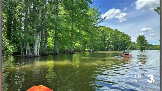 Cruise Stumpy Lake on a kayak from Virginia Beach's newest rental kiosk