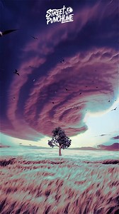 996K views · 10K reactions | Vrai !  | Street Punchline | Facebook