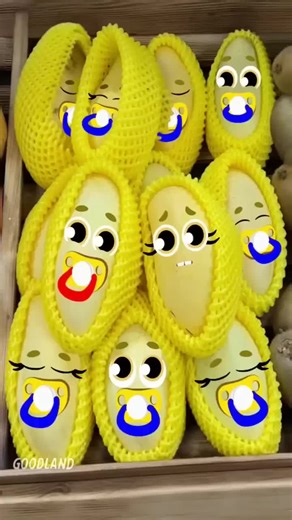 Hospital Baby Songs for Mango Babies 🎉🎶