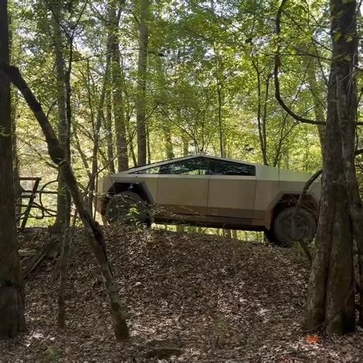 23K views · 406 reactions | Down a rough dirt road in rural Georgia sits an old abandoned bridge, left behind as the world moved on. A quiet piece of forgotten history still standing in the woods. #AbandonedGeorgia #ForgottenHistory #BackroadsExploring #RuralGeorgia | Adventures Into History | Facebook