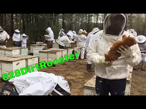 The Most Epic Beginner Beekeeping Workshop Ever - 628DirtRooster