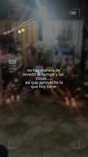 Tu canción preferida, primo — reacción emotiva