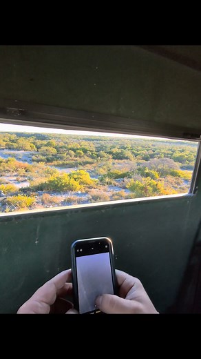 Call and response with Hawk and predator call | Cameron Shepherd