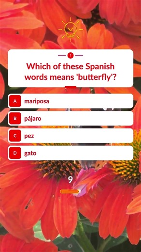 🦋 Quiz time! Which Spanish word means 'butterfly'? Is it mariposa, pájaro, pez, or gato? Drop you...