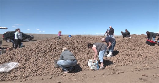 ‘Like Mana from Heaven’: Free Potatoes attract thousands in Spokane County