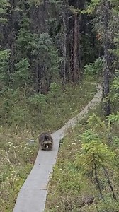 22K views · 140 reactions | Joel Eklof, a University of Washington Civil & Environmental Engineering doctoral student, has been conducting research in Alaska for the past 5 years to determine which environmental factors contribute to permafrost thaw and the release of methane into the atmosphere. More: https://www.washington.edu/news/2024/05/28/uw-researcher-headed-to-alaska-to-study-permafrost-thaw-educate-foster-care-youth/ | University of Washington News | Facebook