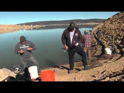 Salmon Snagging at Heron Lake, New Mexico