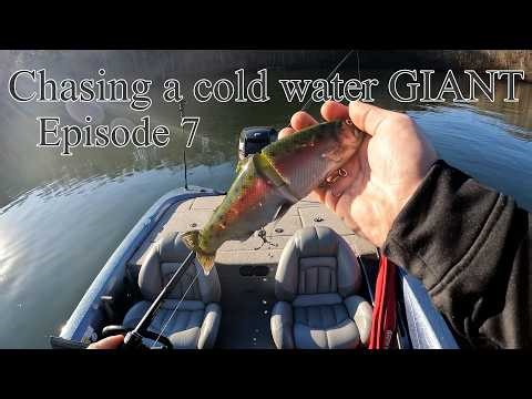 Chasing a cold water GIANT - Ep. 7 - Greenbo Lake, Ky!