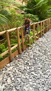 109K views · 1.5K reactions | So Adorable Baby Monkey  ............................. ............................. ............................. #monkey #love #animals #zoo #art #nature #cute #photography #photooftheday #fun #instagood #animal #travel #monkeys #wildlife #newyork #nyc #naturephotography #summer #picoftheday #gorilla #monkeysofinstagram #primate #animalphotography #funny #florida #instapic #dogsofinstagram #dog #usa | Wild Monkey | Facebook