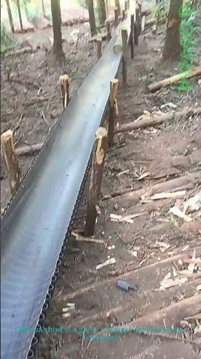 Log Transport in Forest: Using Slide to Move Timber Easily