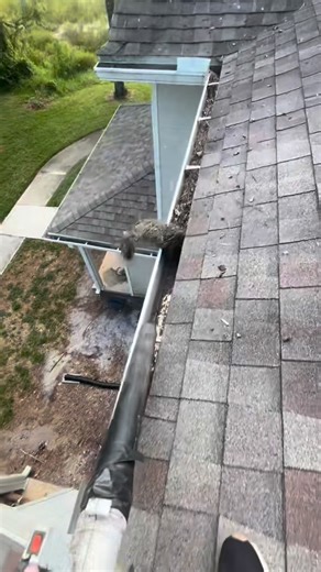 Swing trading is basically the art of catching vibes… but with money. 📈💸 Everybody thinks day traders sit there glued to charts 24/7. Nah. Swing traders are different. We’re like: “Wake me up when the price hits my zone.” 😴📊 But the history behind it is actually crazy: Back in the early 1900s, traders didn’t have indicators, fancy platforms, or 12 monitors like the crypto kids today. They literally watched prices from newspapers and made decisions days later. And somehow… those dudes still m