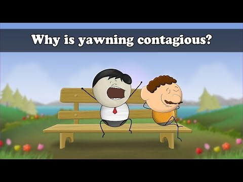 Why is yawning contagious? | #aumsum #kids #science #education #children