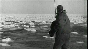 Voyage Of The Nautilus