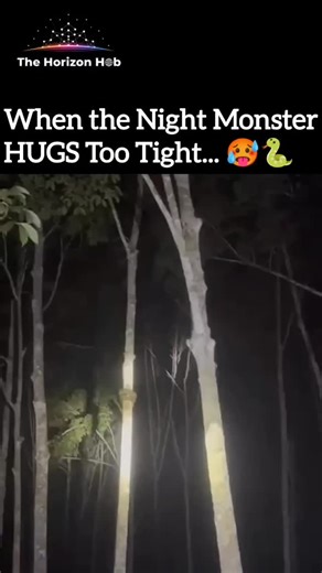 THE HORIZON HUB🌐 on Instagram: "​The Night Hunt: Watch How This Giant Python Strangles Its Prey 😱🐍✨ #Shorts ​#Python #NightHunt #JungleLife #WildNature #Serpent #BigSnake #Constrictor #DangerousAnimals #Reels ​🐍 Primal Power Uncoiled 🌲 Watch a Giant Python's Deadly Embrace in the Dark Jungle! 🌑 ​A moment of pure, raw nature captured under the cover of night, this video reveals the immense power of one of the jungle's most feared constrictors—the python. ​The snake is seen tightly coiled ar