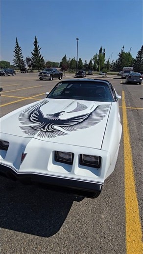 1981 Firebird