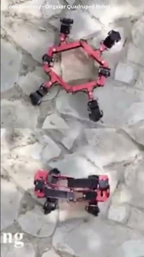 The Shape-Shifting Robot of the Future