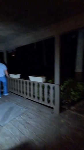 4.9K views · 109 reactions | Strawberries #strange #mathquestionsbelike #weird #funny | The Guy Jr | Facebook