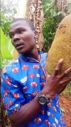 Kapati Song By Alien Skin trending tiktok video challenges by green