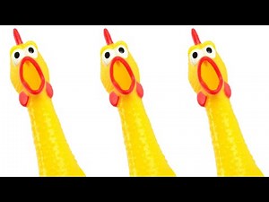 惨叫鸡音效 （大只）