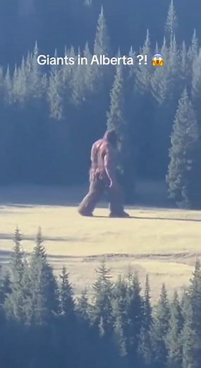 Giant spotted in Banff national park #scary #bigfoot #wildlife #AI #canada