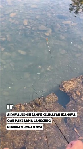 AIRNYA JERNIH SAMPAI IKAN NYA KELIATAN #mancing #fishing #mancingliar #mancingikan #sungai