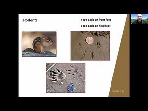 Unit 1 - Animal Diversity and Tracking Part 1 Webinar