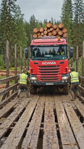 Overloaded Logging Truck Crossing Dangerous Bridge #truck #shorts #viral