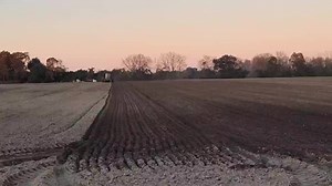 5.5K views · 55 reactions | Planting Oats in Southeast GA | Farm Life | Facebook