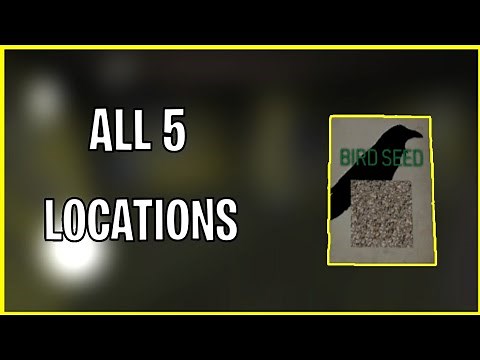 All 5 Locations Of Bird Seed / Granny 1.7 Update.