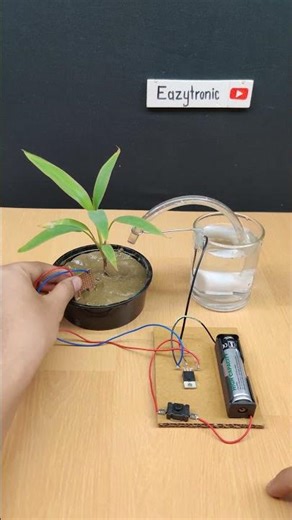 Plant Irrigation System Without Arduino #sciencproject #science #plants #irrigation #arduino #iod
