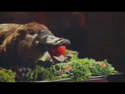 Lunchables with 100% Juice Commercial "Fancy Restaurant" (2017, 30s ver.)