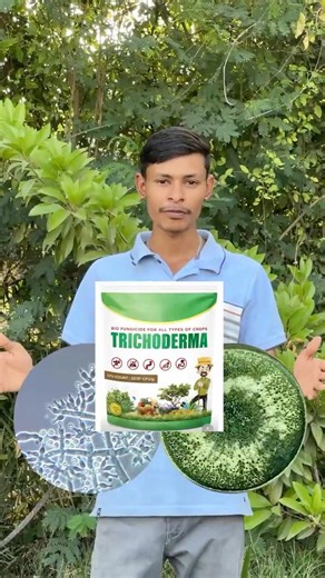 Trichoderma Benefits 🌾 | Soil Health + Disease Control Secret #agriculture