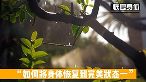如何将身体恢复到完美状态一