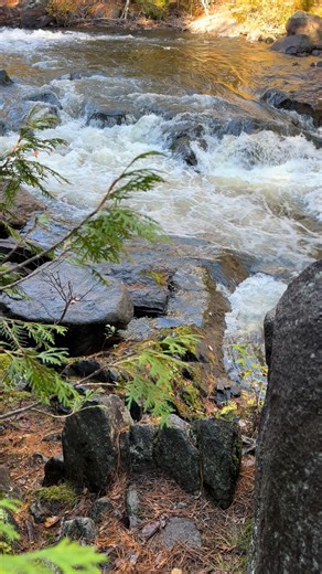 299 reactions · 14 shares |  Nature at its finest! We enjoyed...