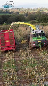 107K views · 3.3K reactions | John Deere 9800 chopping maize with the 8 row header #arimagery #johndeere #maize #forager #agriculture | AR Imagery - Farming & Agricultural Videographer | Facebook