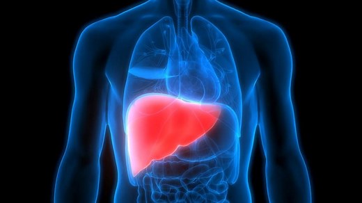 Hépatite E (VHE) : modes de transmission, symptômes et traitements