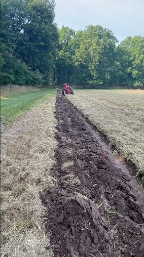 Allis Chalmers 1954 WD45 with 3 Bottom Semi- Mounted Plow 2023