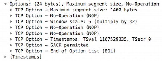 How TCP Works - The Timestamp Option