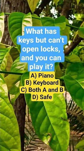 What has keys but can’t open locks, and you can play it?