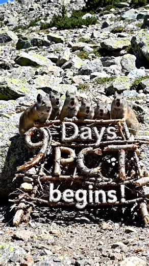 9 Days until PCT 2026 vlog begin! #pct2026 #pacificcresttrail2026 #pctthruhike #hiking #backpacking