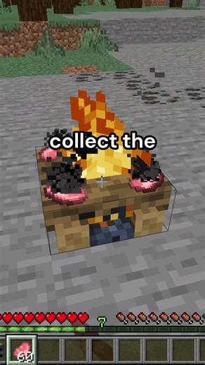 Minecraft Furnace and Campfire Tip #minecraft #tips