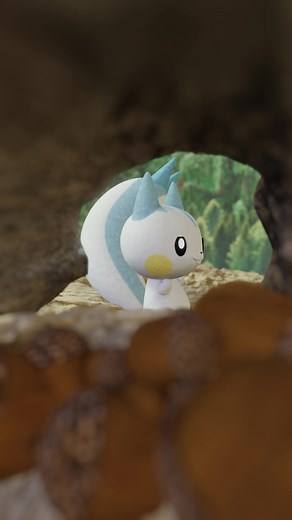 Pachirisu Celebration in Competitive Tournament