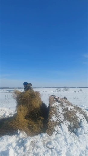 Snow Shoveling Techniques in a Winter Landscape