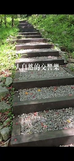 快來～快來～八仙山國家森林公園，享受森林芬多精，聽聽潺潺流水，蟲叫鳥鳴，微風徐徐，陽光灑落地上的樹蔭.#八仙山 #森林浴
